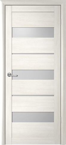 кипарис белый